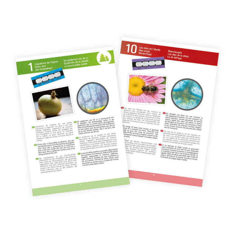 Buki mikroskop 15 doświadczeń (3).png