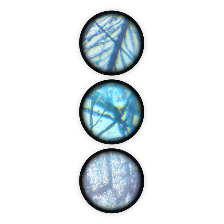 Buki mikroskop 15 doświadczeń (6).png