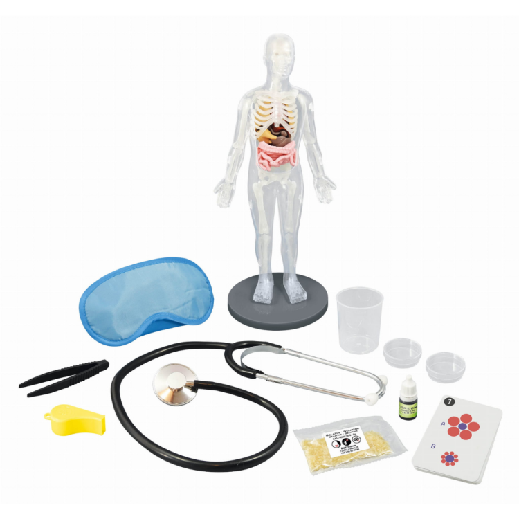 Buki Ciało człowieka (4).png