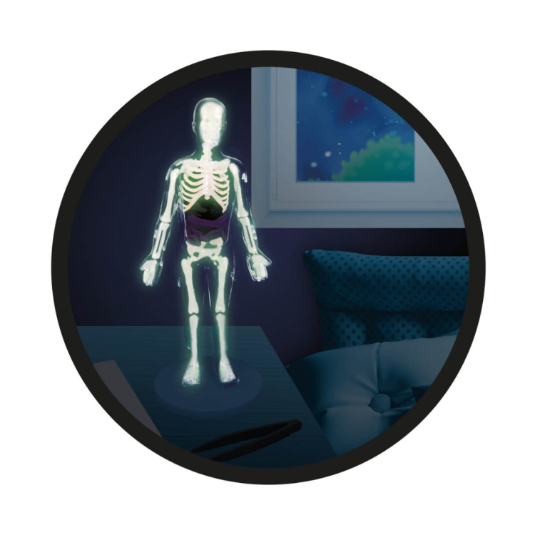 Buki Ciało człowieka (5).png