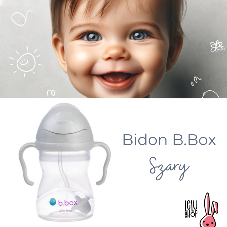 b-box-bidon-ze-slomka-240-ml-szary-18346_3.png